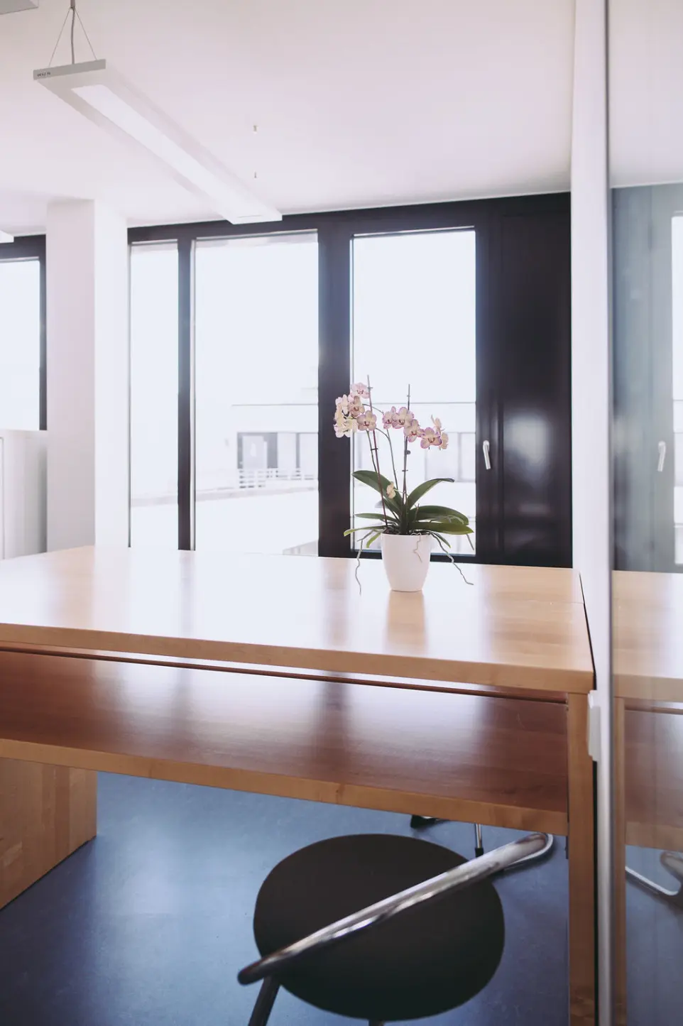 Arbeitsalltag bei Dr. Wallner Engineering GmbH – modernes Engineering in Praxis